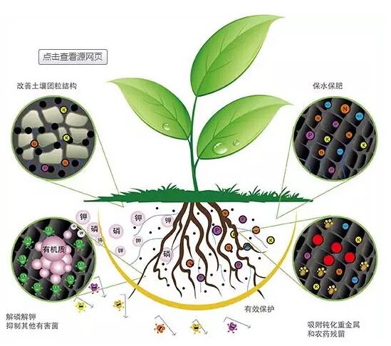 科學(xué)施用生物菌肥好處多多！