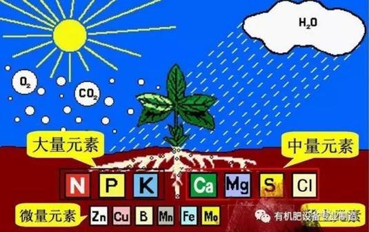 內(nèi)蒙有機肥發(fā)酵_禽糞發(fā)酵不徹底的危害_家畜農(nóng)家肥