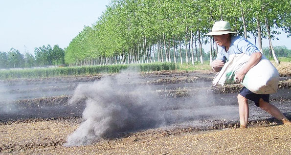 鉀肥是什么肥料，鉀肥的種類有哪些？