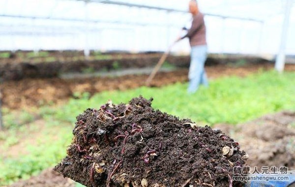 生物有機(jī)肥的好處