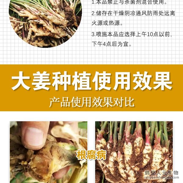 多氨豆粕菌肥系列大姜專用肥使用注意事項(xiàng)