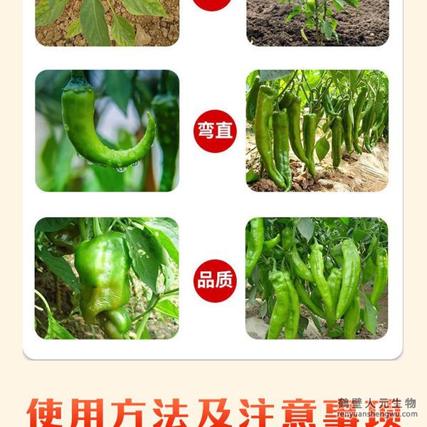 多氨豆粕菌肥系列辣椒專用肥使用效果圖2